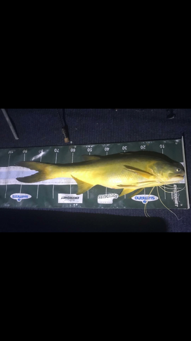 Soft Vibe Lure - 95mm 20g